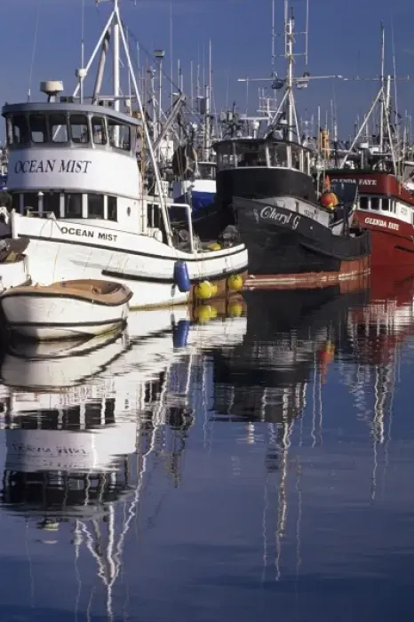 Framed Print : WA, Seattle, Fishing boats moored at Fishermens Terminal