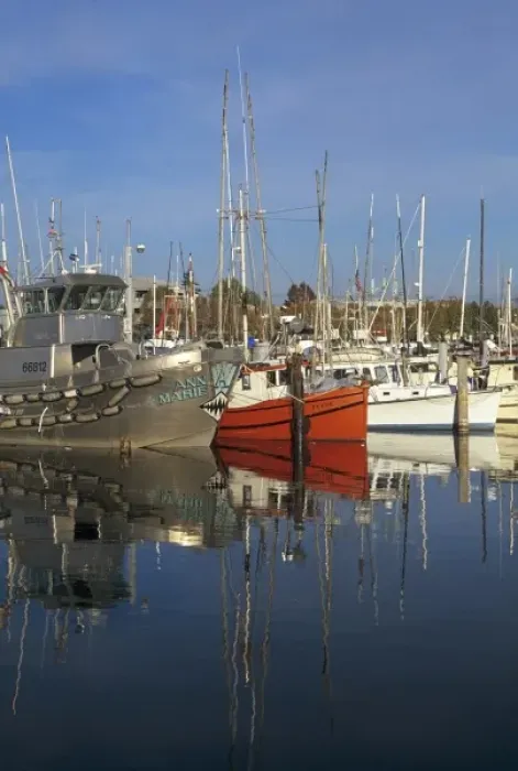 Framed Print : WA, Seattle, Fishing boats moored at Fishermens Terminal Framed Print : WA, Seattle, Fishing boats moored at Fishermens Terminal