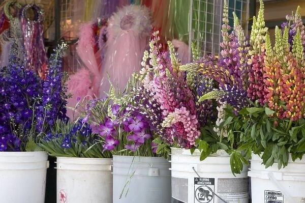 WA, Seattle, flowers for sale, at the Pike Place Market