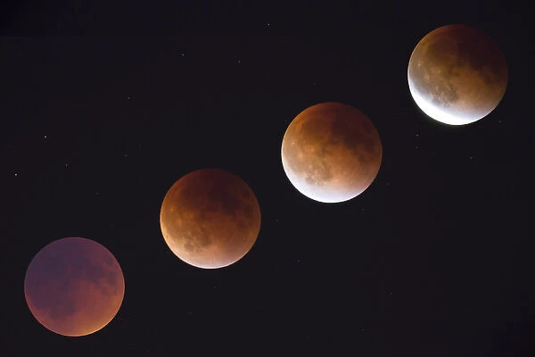 WA, Seattle, Lunar Eclipse; phases of total lunar eclipse