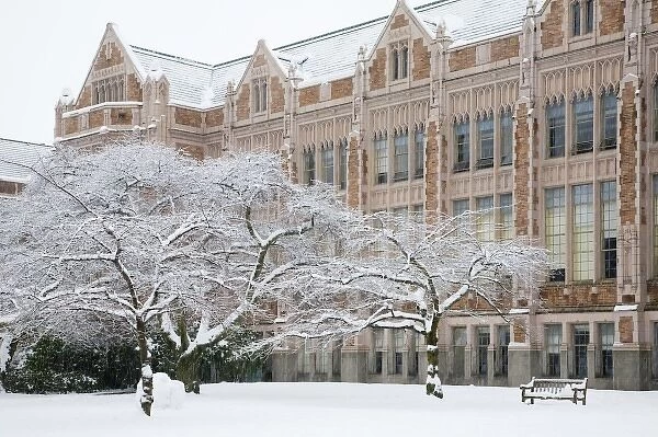 WA, Seattle, University of Washington, the Quad, covered in fresh snow