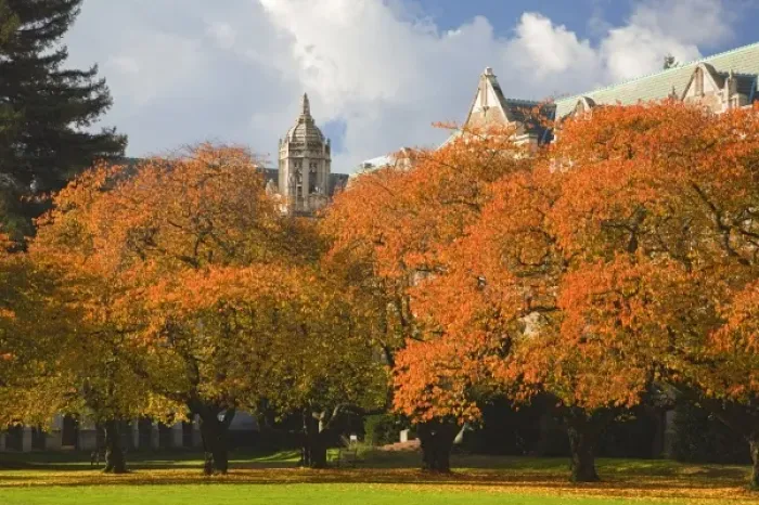 Framed Print : WA, Seattle, University of Washington, The Quad in autumn Framed Print : WA, Seattle, University of Washington, The Quad in autumn