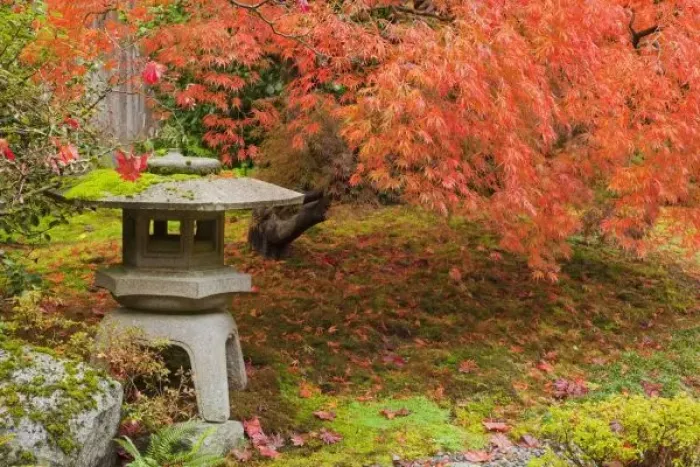 Framed Print : WA, Seattle, Washington Park Arboretum, Japanese Garden, with autumn color Framed Print : WA, Seattle, Washington Park Arboretum, Japanese Garden, with autumn color
