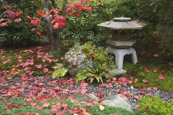 WA, Seattle, Washington Park Arboretum, Autumn color at the Japanese Garden