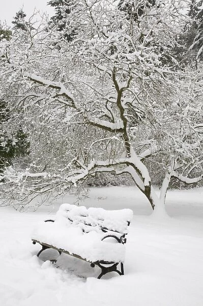 WA, Seattle, Washington Park Arboretum, covered in fresh snow, snow covered bench