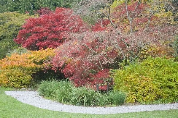 WA, Seattle, Washington Park Arboretum, Woodland Garden