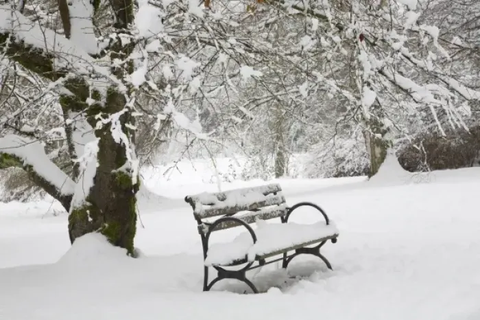 Framed Print : WA, Seattle, Washington Park Arboretum, covered in fresh snow, snow covered bench Framed Print : WA, Seattle, Washington Park Arboretum, covered in fresh snow, snow covered bench
