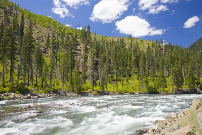 Framed Print : WA, Wenatchee National Forest, near Leavenworth, Wenatchee River flowing through