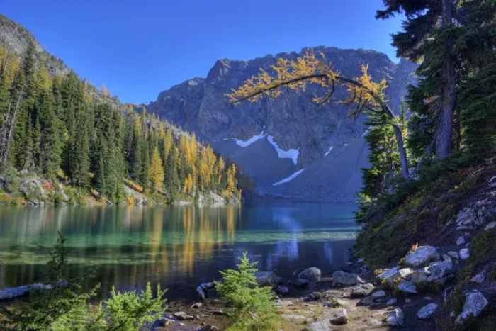Framed Print : WA, Wenatchee NF; Blue Lake with golden larch trees Framed Print : WA, Wenatchee NF; Blue Lake with golden larch trees