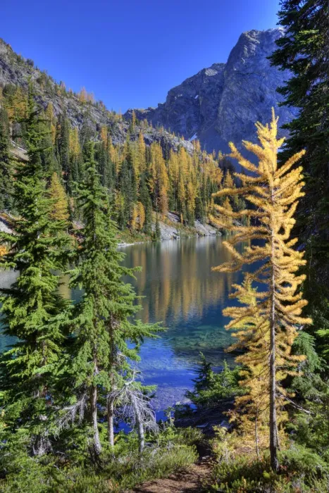 Framed Print : WA, Wenatchee NF; Blue Lake with golden larch trees