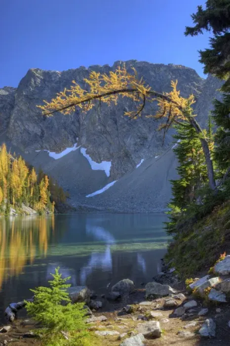 Framed Print : WA, Wenatchee NF; Blue Lake with golden larch trees Framed Print : WA, Wenatchee NF; Blue Lake with golden larch trees