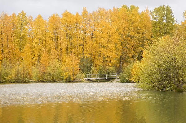 WA, Wenatchee NF, near Easton, Autumn color at Easton Ponds