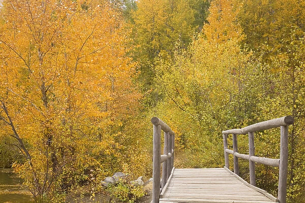 WA, Wenatchee NF, near Easton, Autumn color at Easton Ponds with trail