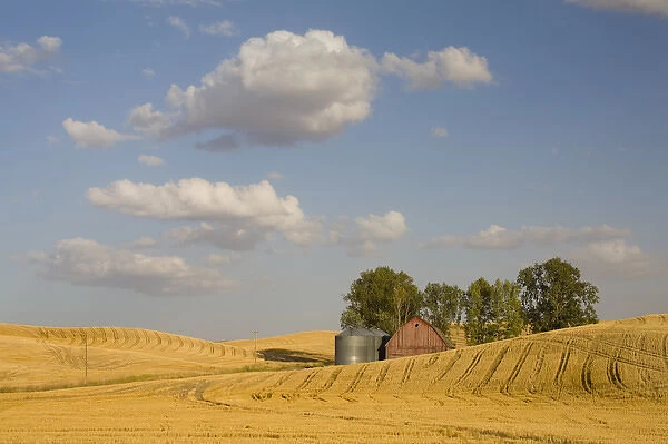 WA, Whitman County, The Palouse, Barn with grain silos and harvested wheat field