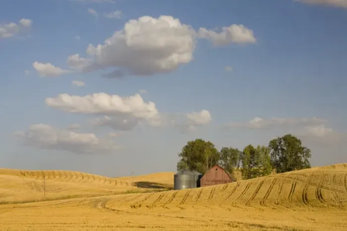 Framed Print : WA, Whitman County, The Palouse, Barn with grain silos and harvested wheat field