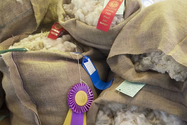WA, Whitman County, Palouse Empire Fair, Sheep wool in the 4H competition