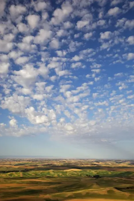 Framed Print : WA, Whitman County, Palouse Farmland, view from Steptoe Butte Framed Print : WA, Whitman County, Palouse Farmland, view from Steptoe Butte