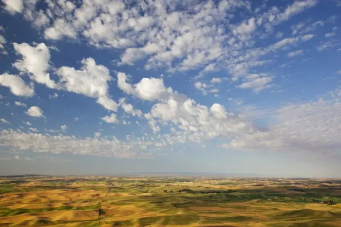Framed Print : WA, Whitman County, Palouse Farmland, view from Steptoe Butte Framed Print : WA, Whitman County, Palouse Farmland, view from Steptoe Butte