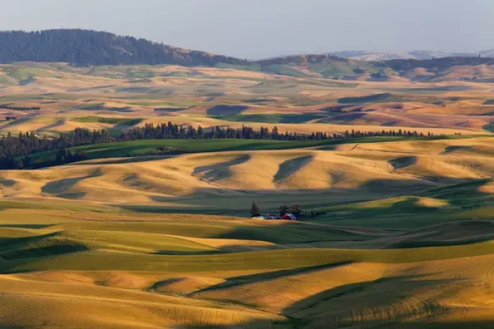 Framed Print : WA, Whitman County, Palouse Farmland, view from Steptoe Butte Framed Print : WA, Whitman County, Palouse Farmland, view from Steptoe Butte
