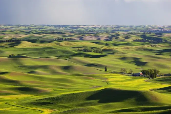 Framed Print : WA, Whitman County; view of farmland from Steptoe Butte