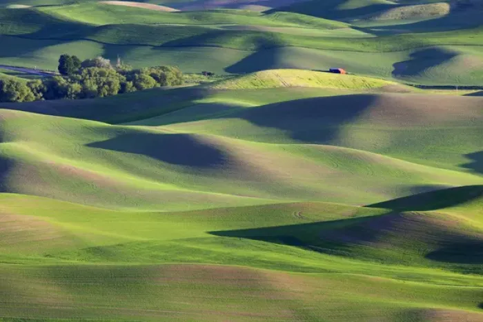 Framed Print : WA, Whitman County; view of farmland from Steptoe Butte