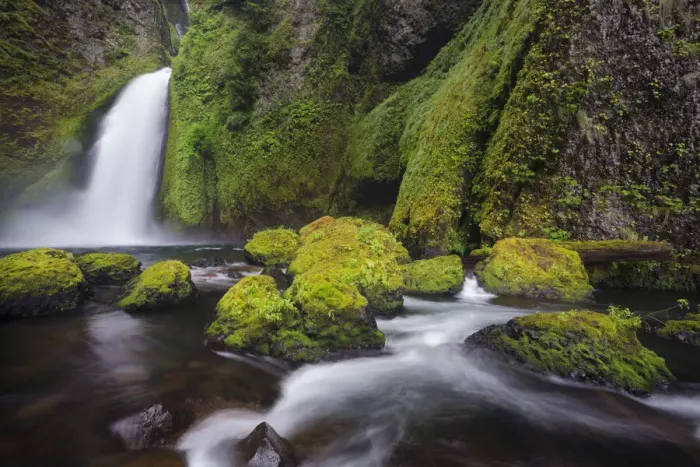 Framed Print : Wahclella Falls along Tanner Creek, Columbia River Gorge, Oregon