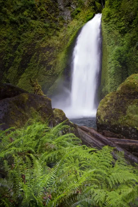 Framed Print : Wahclella Falls along Tanner Creek, Columbia River Gorge, Oregon Framed Print : Wahclella Falls along Tanner Creek, Columbia River Gorge, Oregon