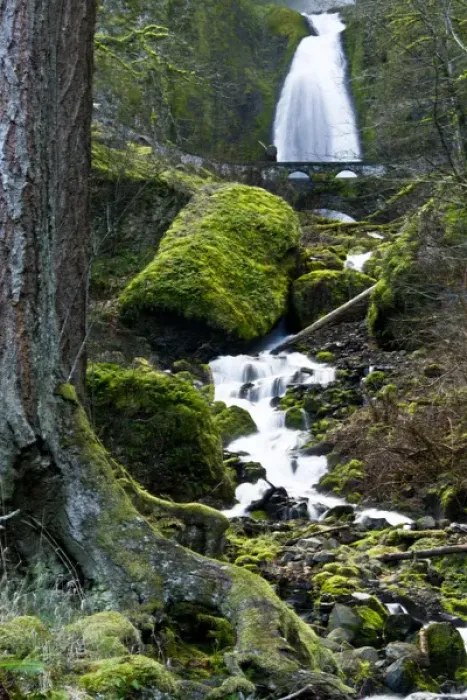 Framed Print : Wahkeena Falls and Creek; Columbia Gorge; Oregon; USA Framed Print : Wahkeena Falls and Creek; Columbia Gorge; Oregon; USA