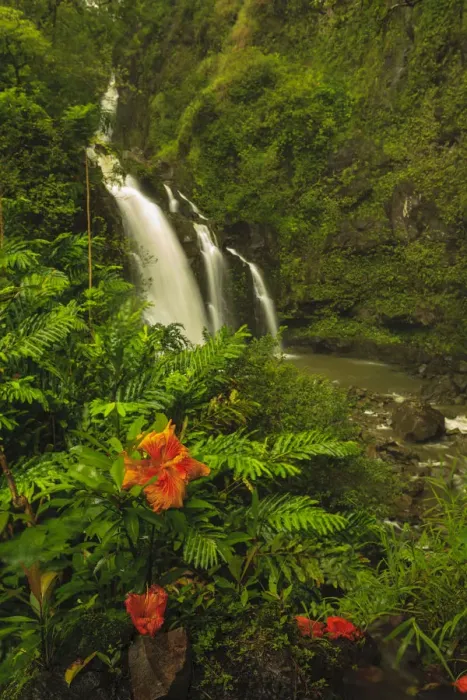 Framed Print : Waikani Falls, Hana Highway near Hana, East Maui, Hawaii, USA