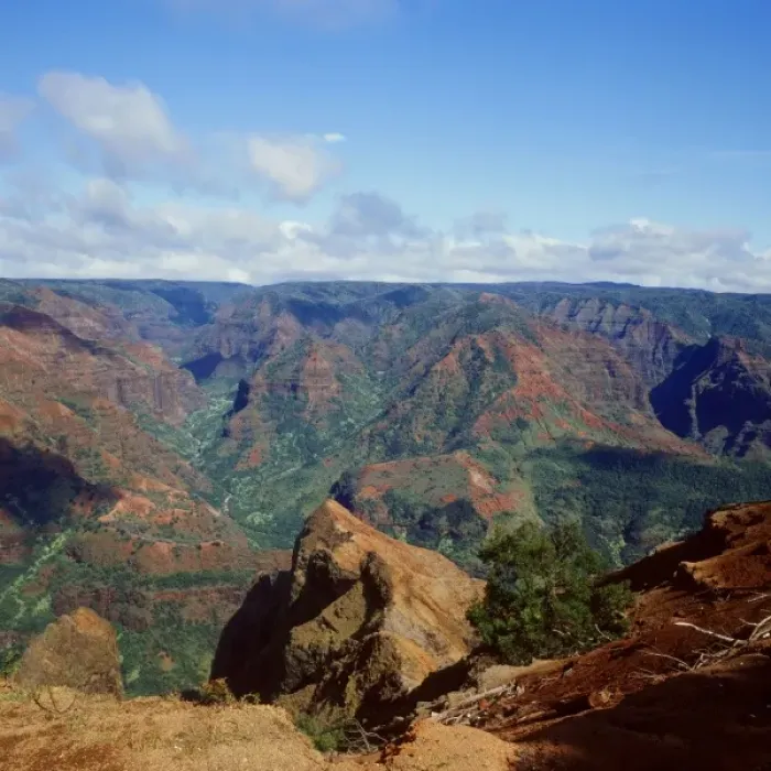 Framed Print : Waimea Canyon Overlook Framed Print : Waimea Canyon Overlook