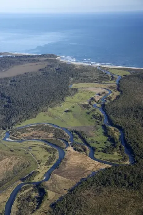 Framed Print : Waitangitaona River, near Whataroa, West Coast, South Island, New Zealand - aerial Framed Print : Waitangitaona River, near Whataroa, West Coast, South Island, New Zealand - aerial