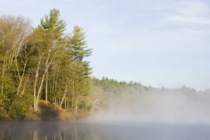 Framed Print : Walden Pond State Reservation, Concord, Massachussets