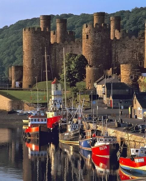 Wales, Conwy Co. Conwy. Colorful fishing boats line the harbor below the Castle in Conwy