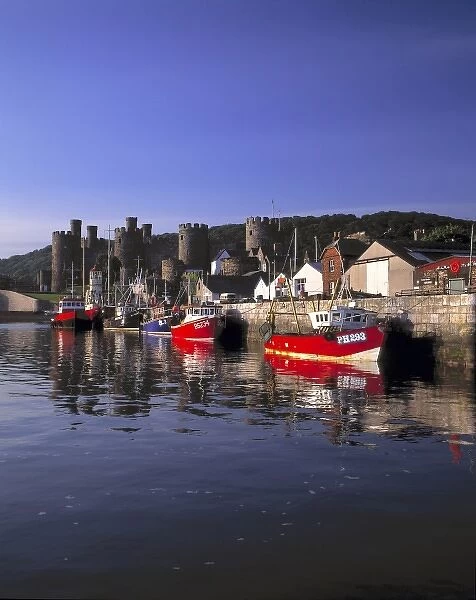 Wales, Conwy Co. Conwy. Fishing boats are moored at days end at the quay near