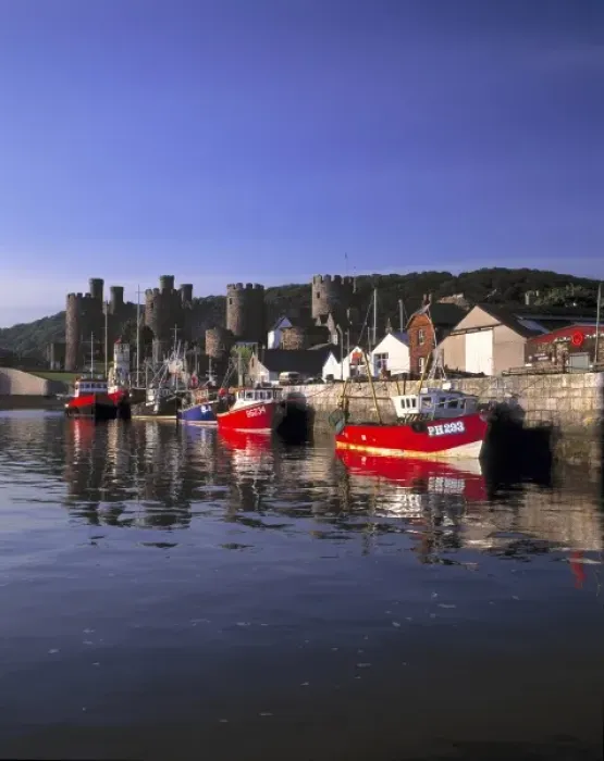 Framed Print : Wales, Conwy Co. Conwy. Fishing boats are moored at days end at the quay near