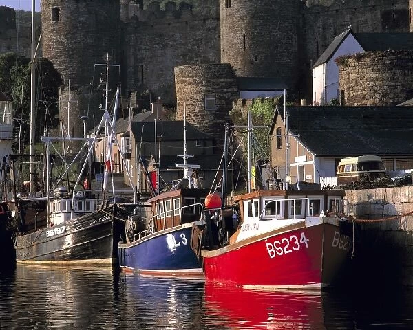Wales, Conwy Co. Conwy. The setting sun highlights these fishing boats & the Castle