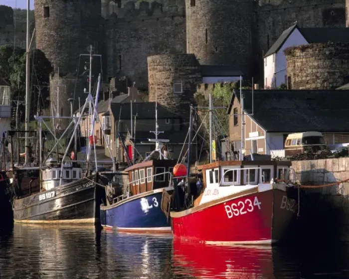 Framed Print : Wales, Conwy Co. Conwy. The setting sun highlights these fishing boats & the Castle Framed Print : Wales, Conwy Co. Conwy. The setting sun highlights these fishing boats & the Castle