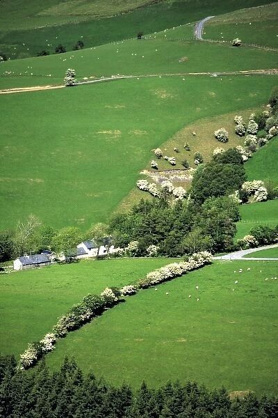 Wales, Gwynedd County, Dovey Valley. A small farm nestles in a ravine in Snowdonia