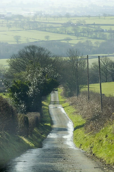 Wales, narrow road leading down hillside in spring
