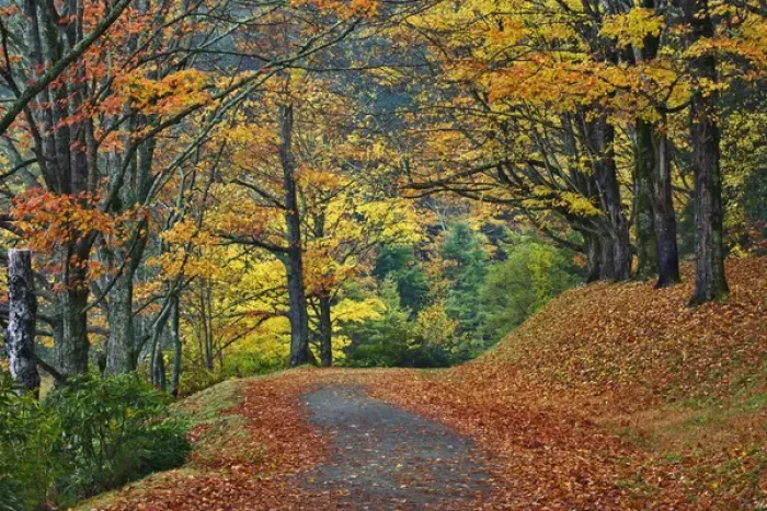 Framed Print : Walking trail around Bass Lake in autumn, near Blowing Rock, North Carolina