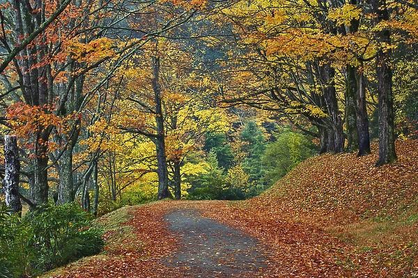 Walking trail around Bass Lake in autumn, near Blowing Rock, North Carolina
