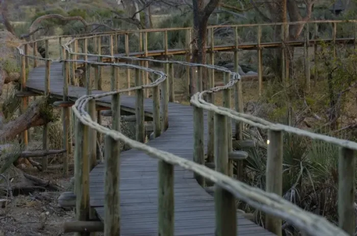 Framed Print : Walkway between tents in Mombo Camp. Mombo Camp. Chiefs Island. Okavango Delta