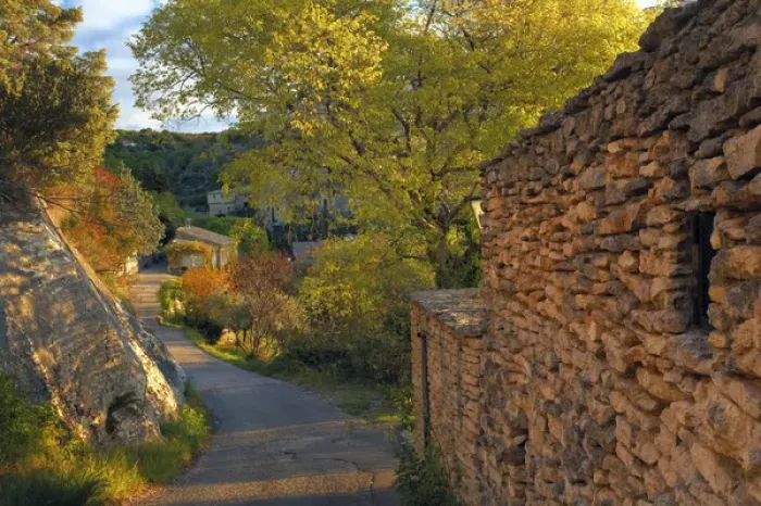 Framed Print : Walkway and trees at sunrise, Gordes, France