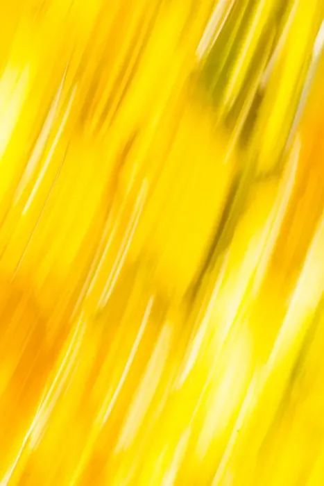 Framed Print : Walla Walla County, WA, USA. Abstracted fall colors at Walla Wallas Pioneer Park