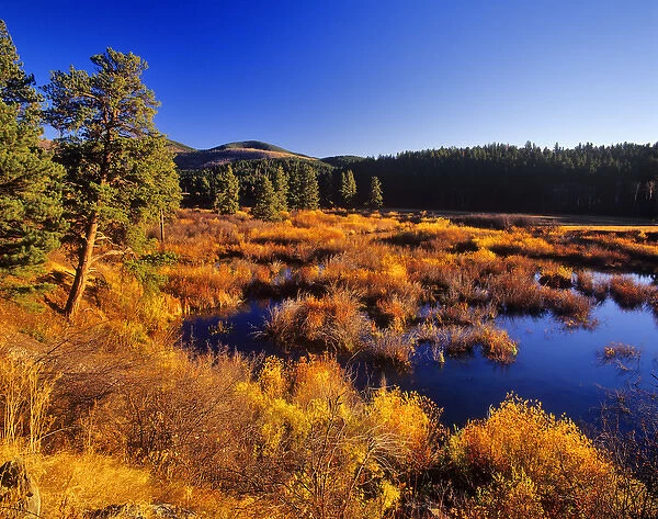 Warm Spring Creek wetlands in autumn in the Judith Mountains near Lewistown, Montana, USA
