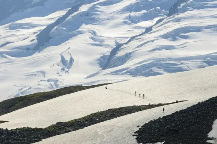 Framed Print : Washington, Cascade Mountains. Hikers in distance on Ptarmigan Ridge, Mount Baker Framed Print : Washington, Cascade Mountains. Hikers in distance on Ptarmigan Ridge, Mount Baker