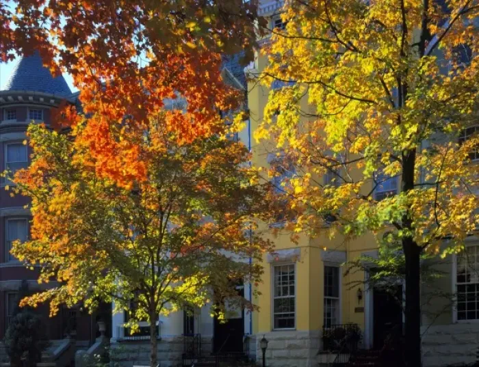Framed Print : WASHINGTON, D. C. USA. Row houses & trees in autumn. 31st Street & Dumbarton in Georgetown Framed Print : WASHINGTON, D. C. USA. Row houses & trees in autumn. 31st Street & Dumbarton in Georgetown