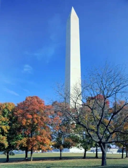 Framed Print : WASHINGTON, D. C. USA. Washington Monument rises above maple trees in autumn. National Mall Framed Print : WASHINGTON, D. C. USA. Washington Monument rises above maple trees in autumn. National Mall