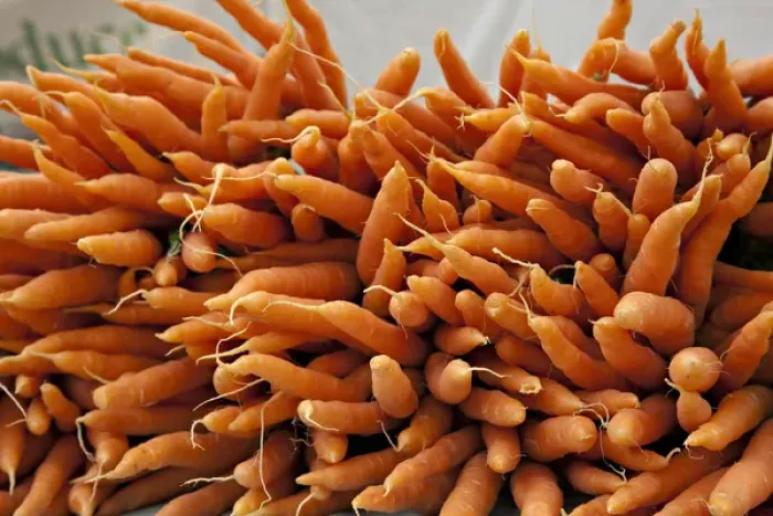 Framed Print : Washington, Seattle, Ballard Market. Carrots for sale at the market Framed Print : Washington, Seattle, Ballard Market. Carrots for sale at the market