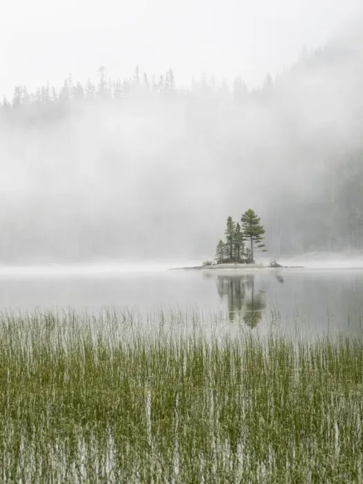 Framed Print : Washington State, Alpine Lakes Wilderness. Snow Lake, Island and fog Framed Print : Washington State, Alpine Lakes Wilderness. Snow Lake, Island and fog